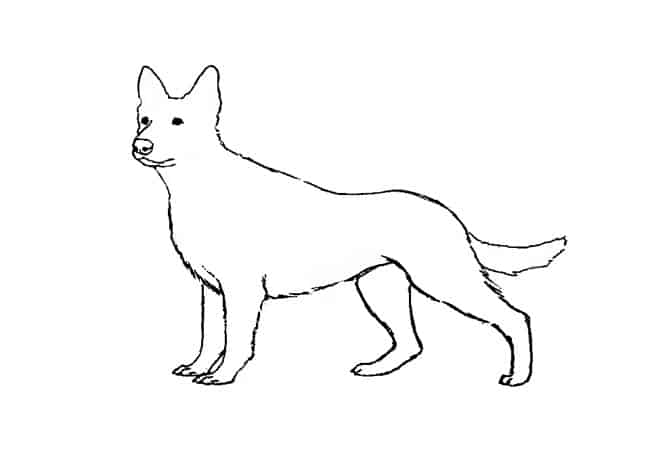 Easy Drawings Of German Shepherds