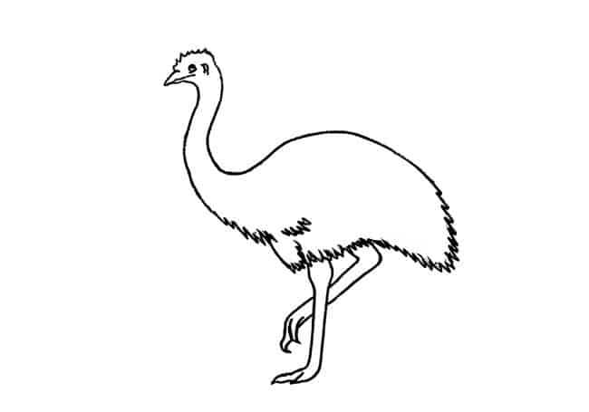 how to draw Australian animals step by step – Easy Animals 2 Draw