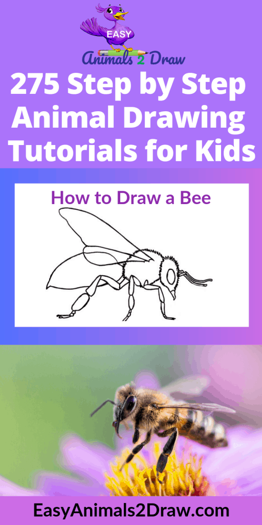 pinterest how to draw a bee
