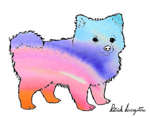 Pomeranian watercolor drawing purple