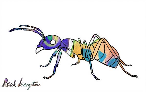 Ant drawing colored blue buff miro