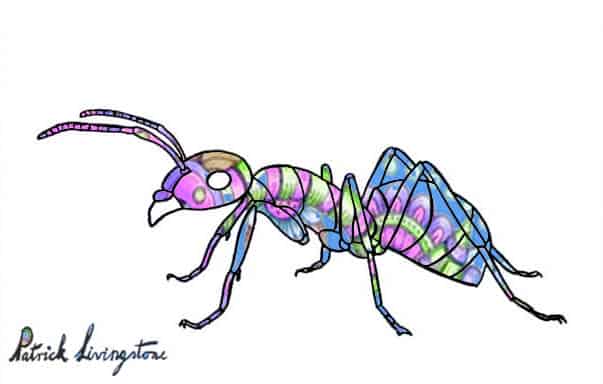 Ant drawing colored paisley blue