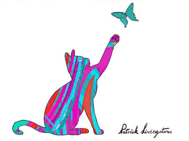 Cat and Butterfly drawing colored f
