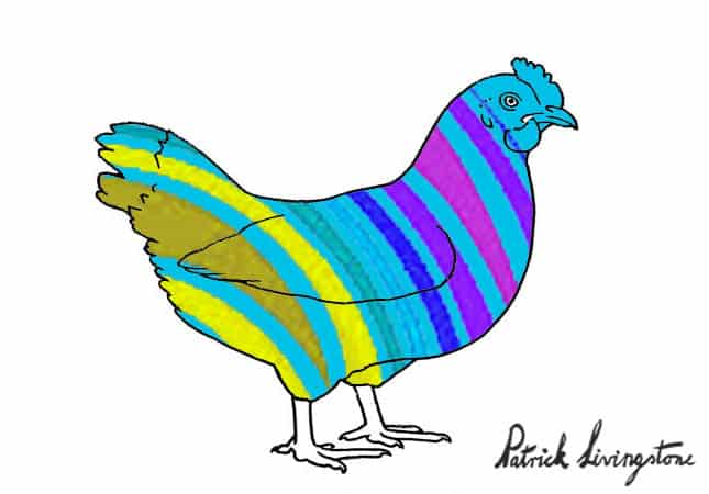 Chicken drawing colored m