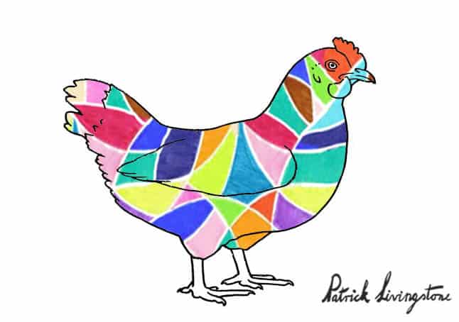 Chicken drawing colored r
