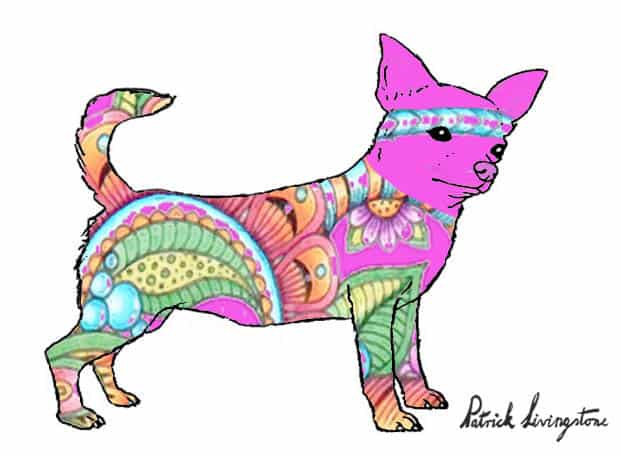 Chihuahua drawing colored e