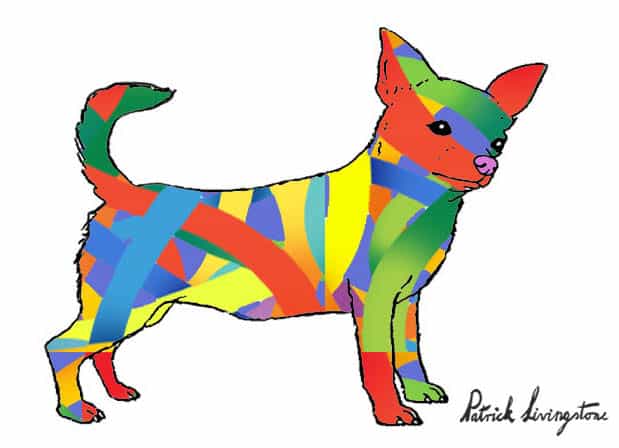 Chihuahua drawing colored f