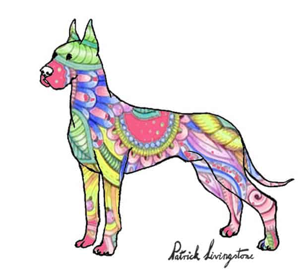 Great dane drawing colored paisley