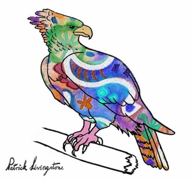 Harpy Eagle drawing colored u