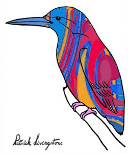 Kingfisher drawing colored 3