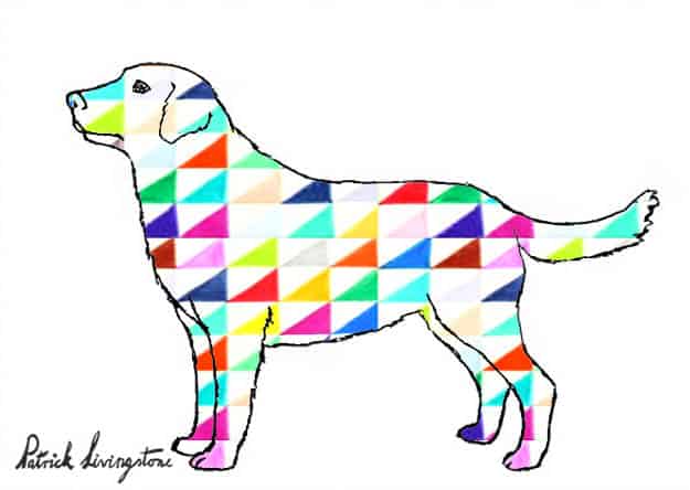 Labrador drawing colored t