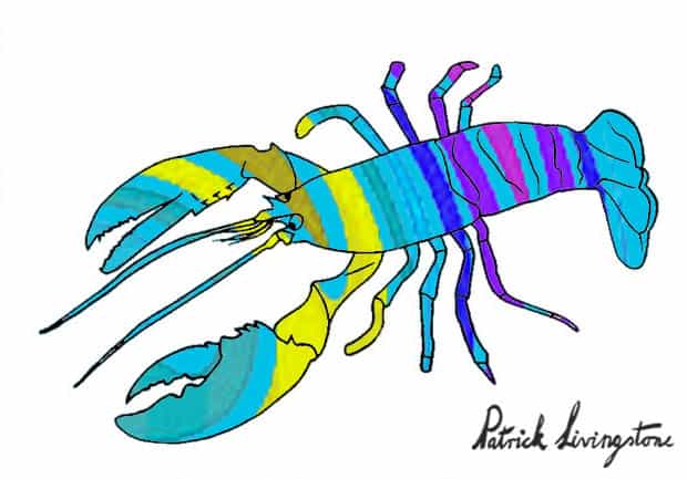 Lobster drawing colored k