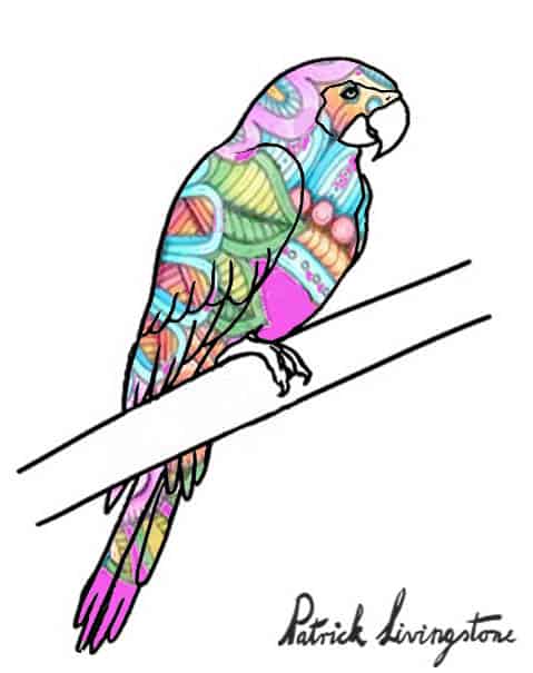Parrot drawing colored