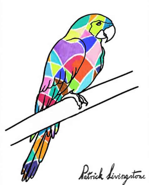 Parrot drawing colored e