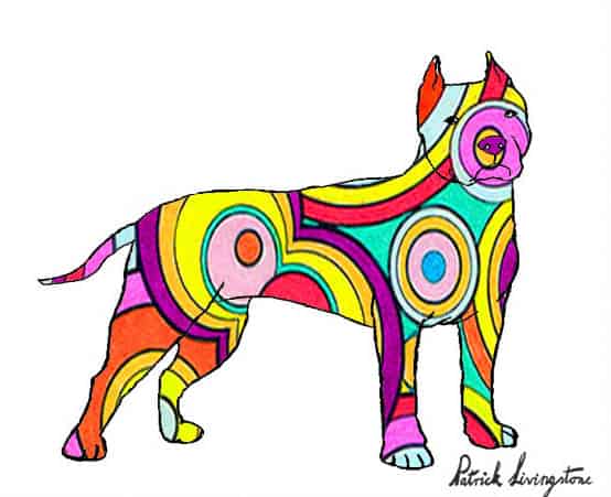 Pitbull terrier drawing colored 3