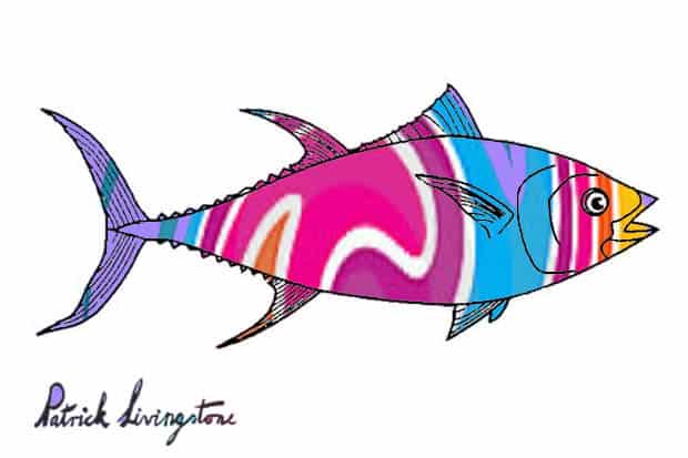 Tuna fish drawing colored s