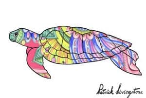 Turtle drawing colored pink paisley 2